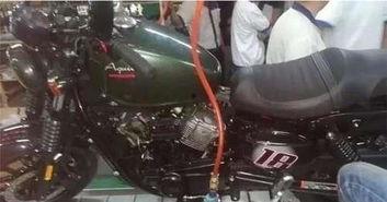 国产gv,探索东方美学与视觉盛宴的完美融合