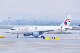 国产四级,引领中国电影新潮流