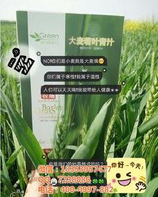 久久国产青,久久青生成新时代文化新风尚